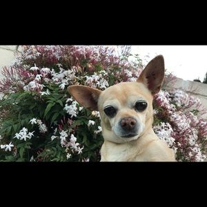 Meet your Posher, Rachel